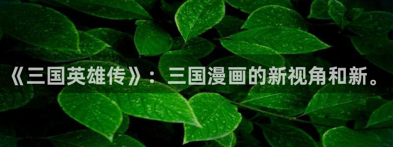 香蕉漫画免费进入：《三国英雄传》：三国漫画的新视角和新。