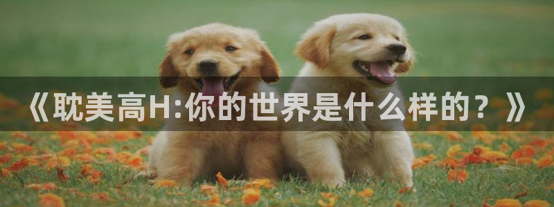 香蕉漫画免费：《耽美高H:你的世界是什么样的？》