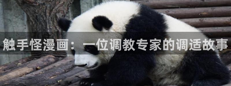 香蕉漫画免费读漫画下拉式：触手怪漫画：一位调教专家的调适故事